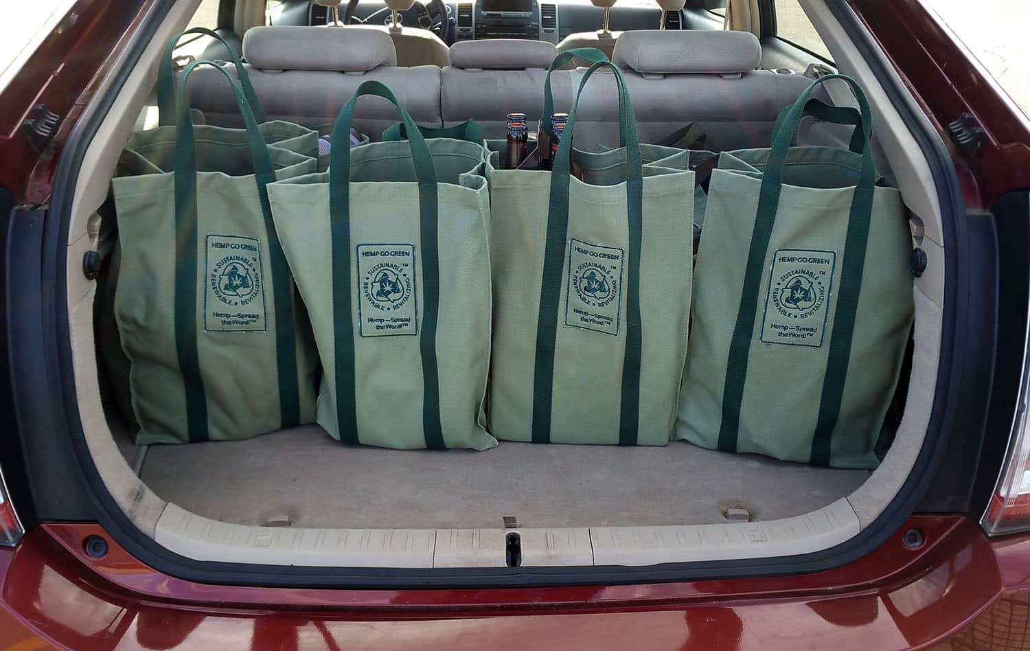 A Recent Trip to the Grocery Store with Our Reusable Shopping Bags